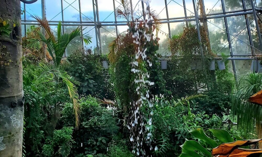 Cockrell Butterfly Center in Rice Village Houston