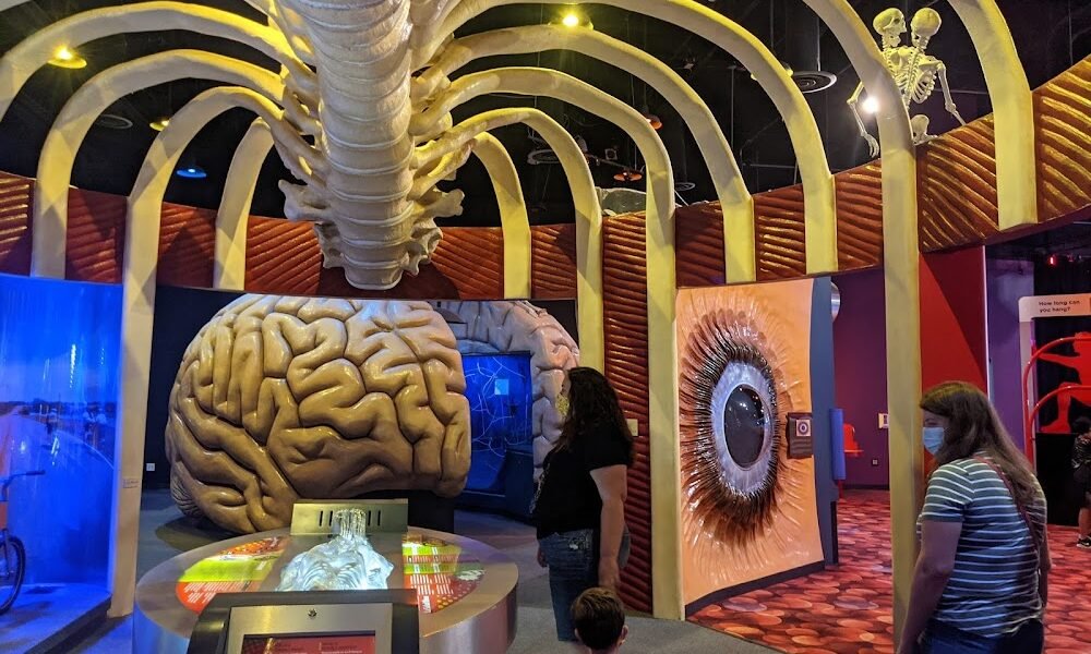 The Health Museum in Rice Village Houston