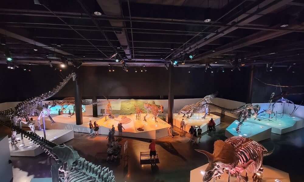Houston Museum of Natural Science in Rice Village Houston